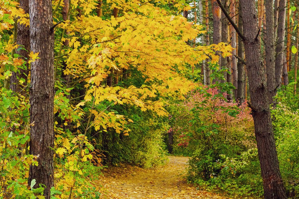 Photograph by Александр Казак