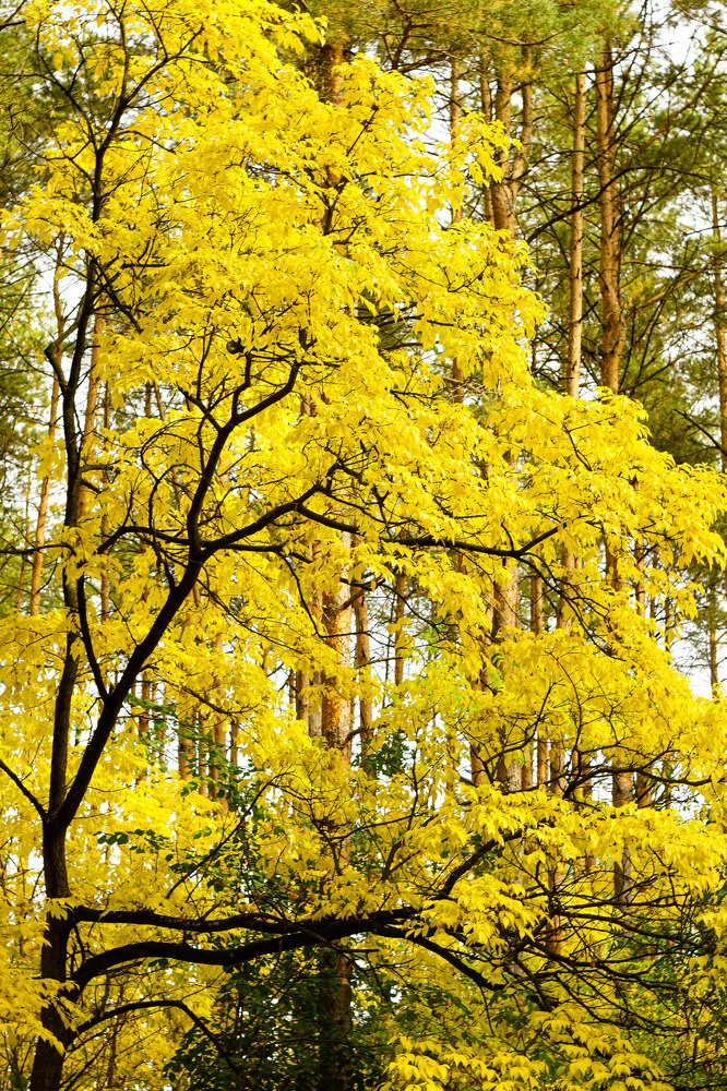 Photograph by Александр Казак