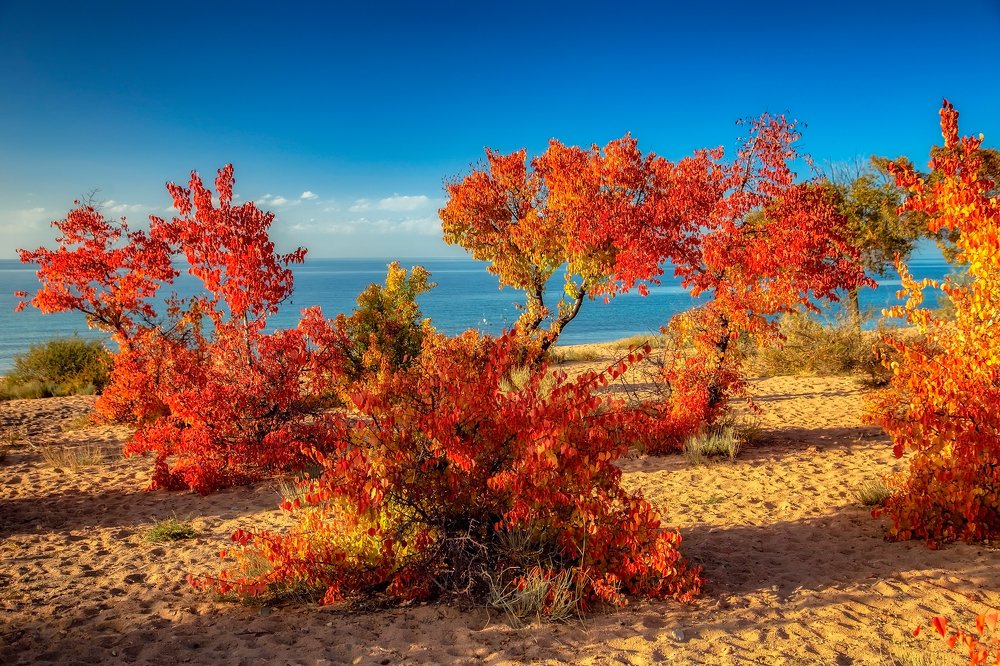 Пожар Иссык-Куля