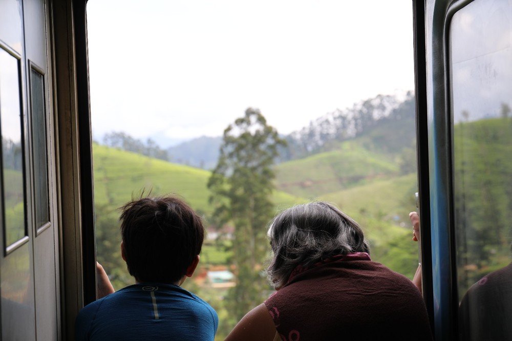 Photograph by Денис Терехин