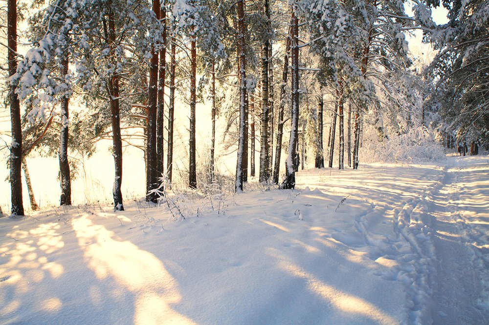 Солнечный день
