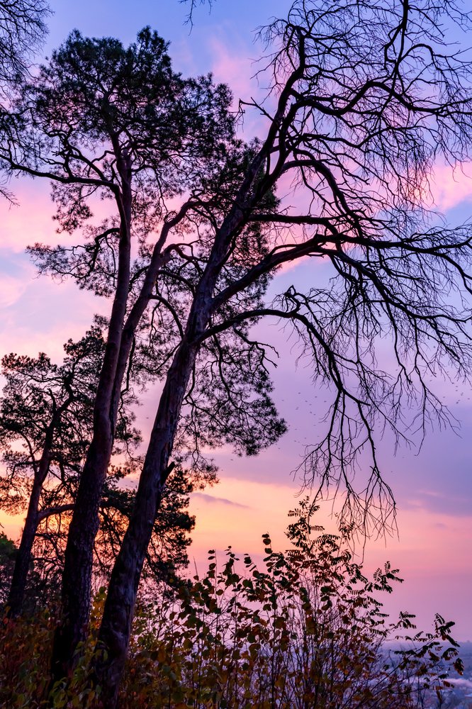 Photograph by Марина Грыныха