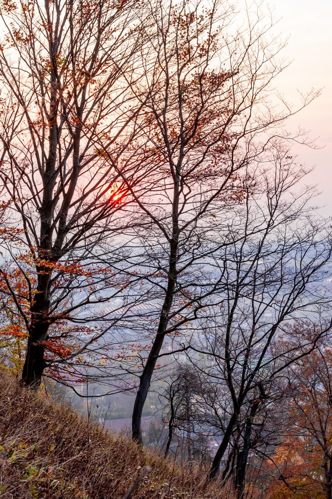 Photograph by Марина Грыныха