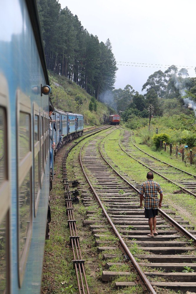 Photograph by Денис Терехин