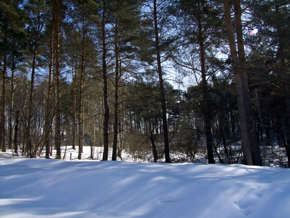 Photograph by Михаил Корнеев