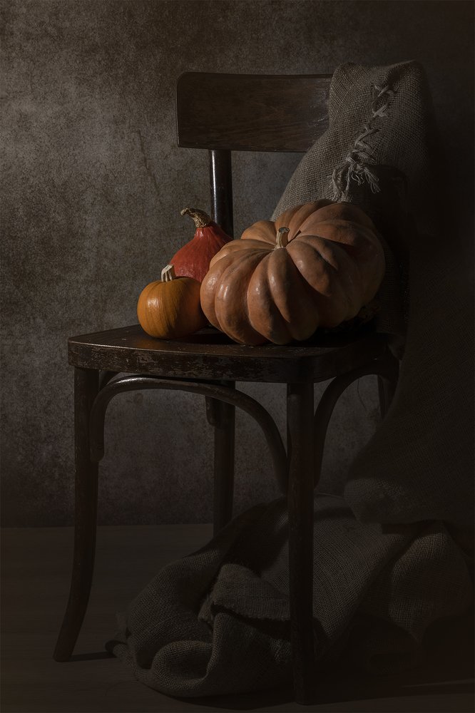 Photograph by FATIH GONUL