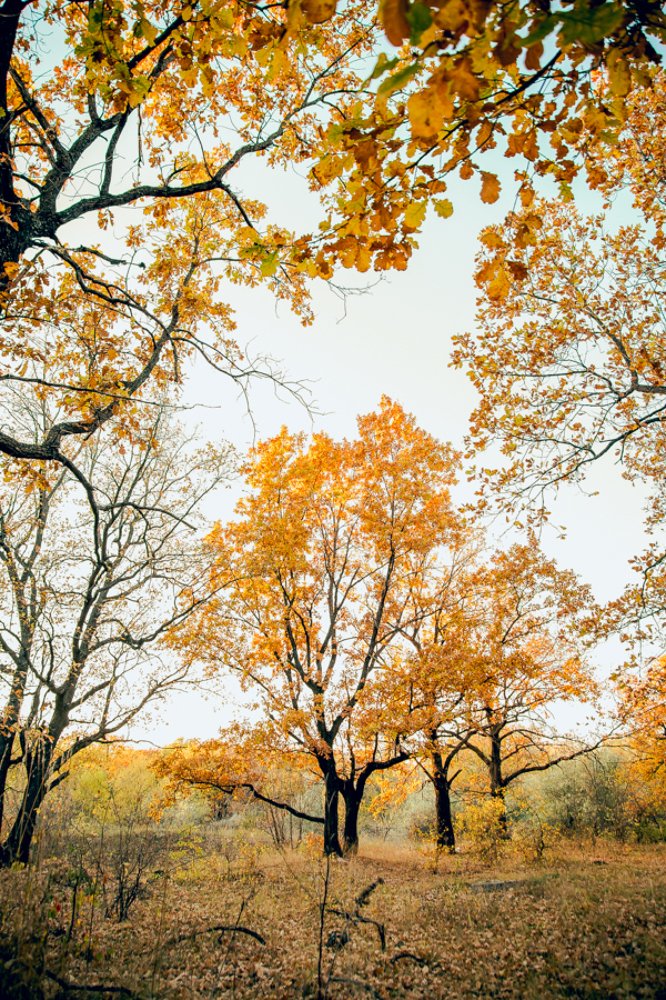 Photograph by Ольга Белопухова