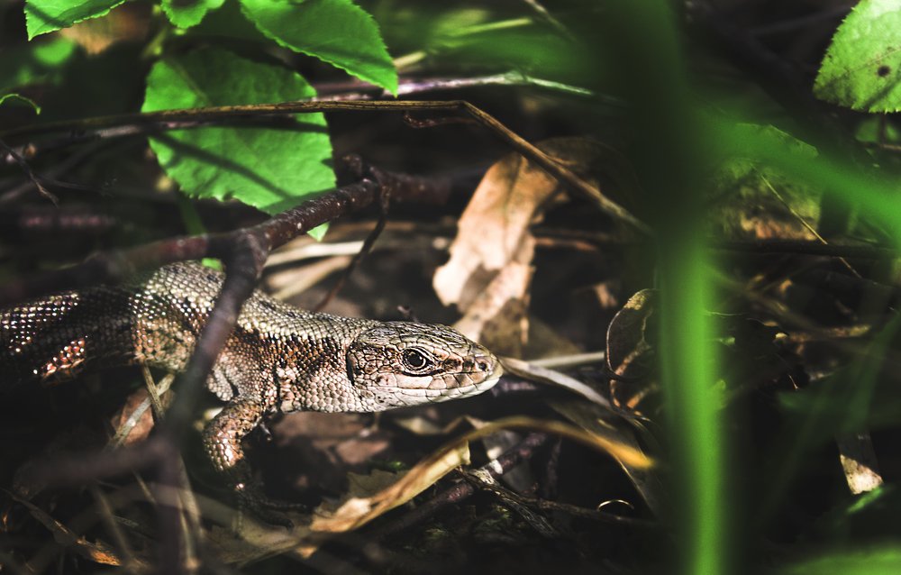 Photograph by Елизавета Большакова