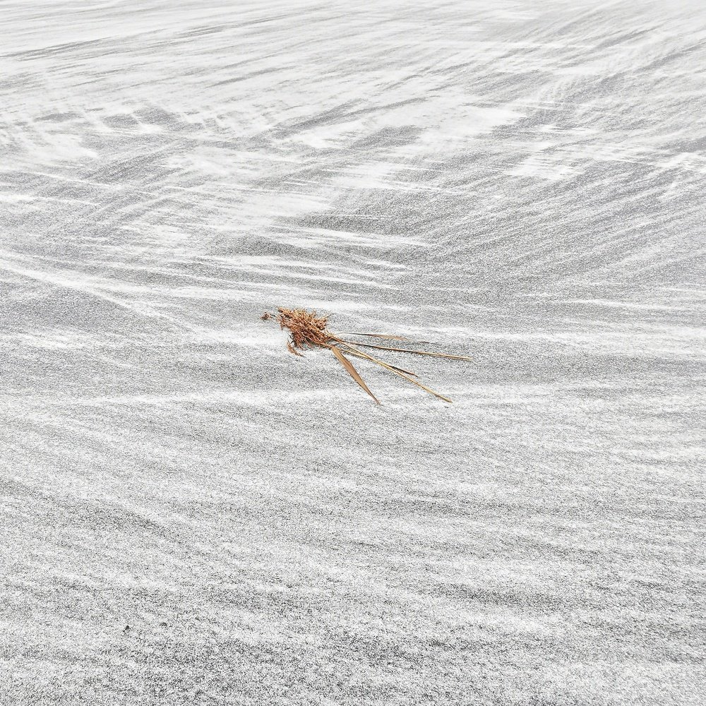 Photograph by Андрей Сухорученков