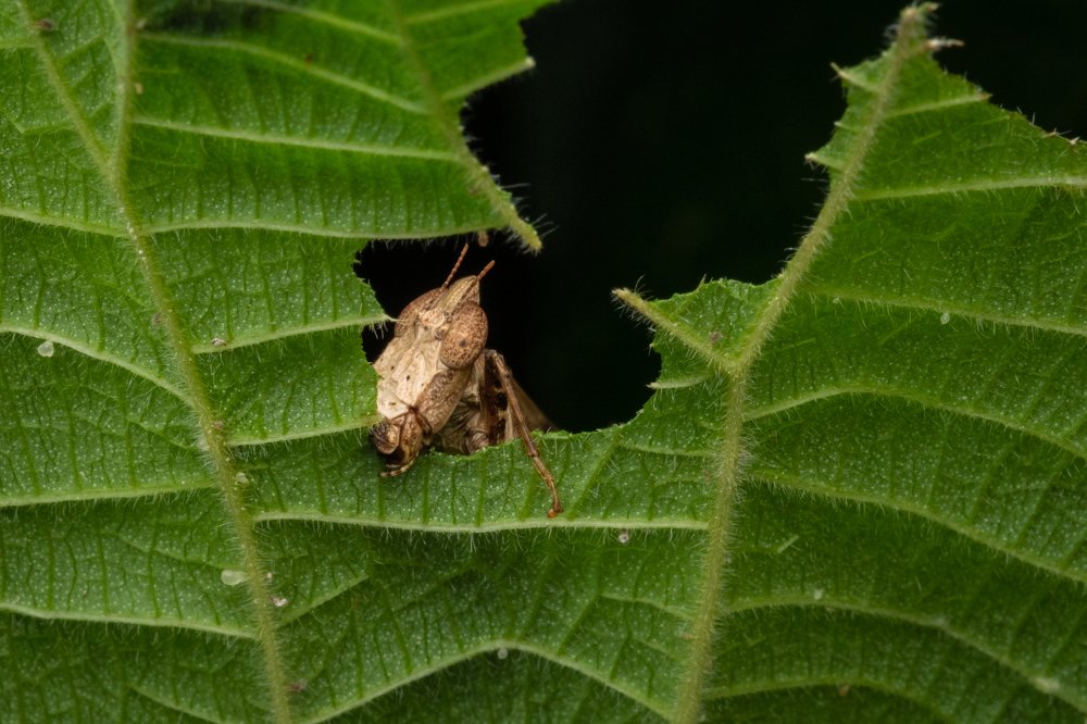 Photograph by Nicholas Ng