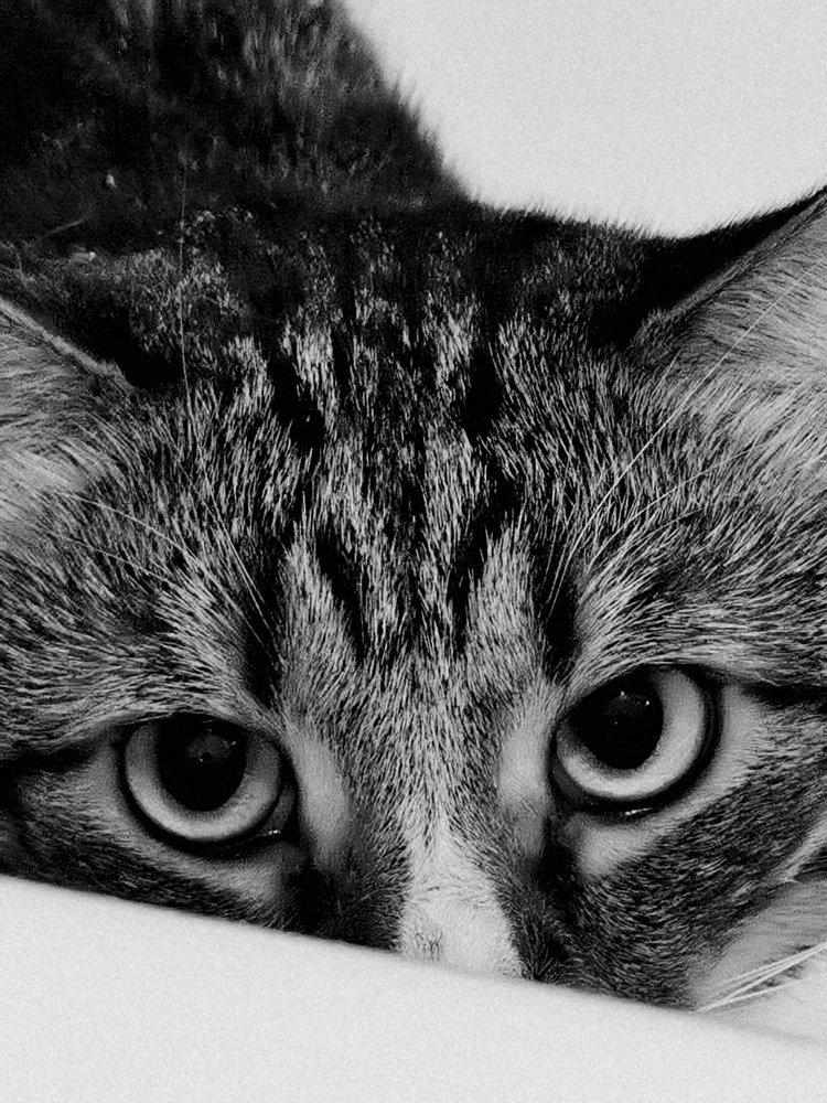 Photograph by Лукина Наталья