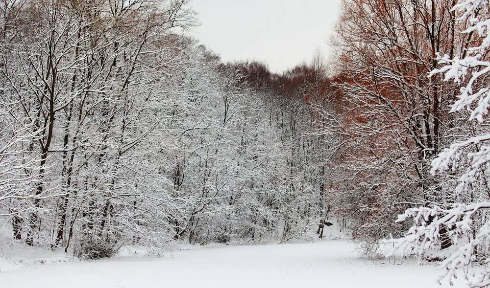 Photograph by Константин Лагоденко
