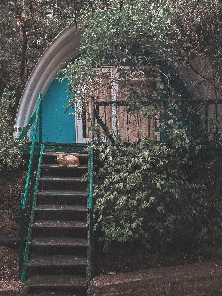 Photograph by Максим Моночков