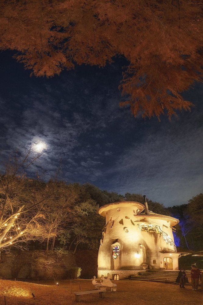 Photograph by Ikeda Akiko