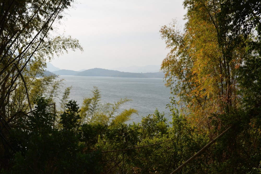 Photograph by Sajal Menon