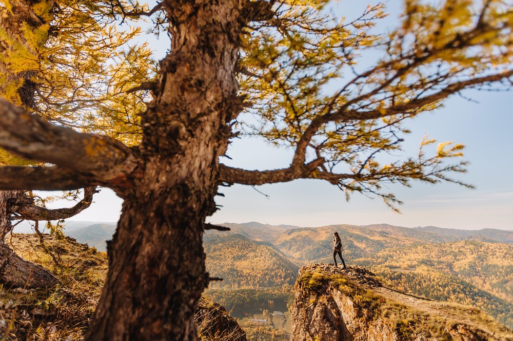 Фотография автора Анна Рыжкова
