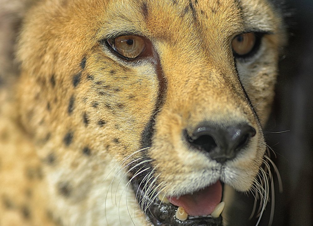 Photograph by Наталья Шалкевич