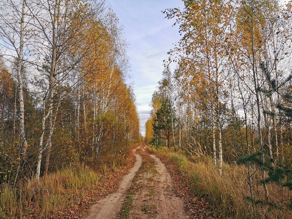 Фотография автора Игорь Шамшур