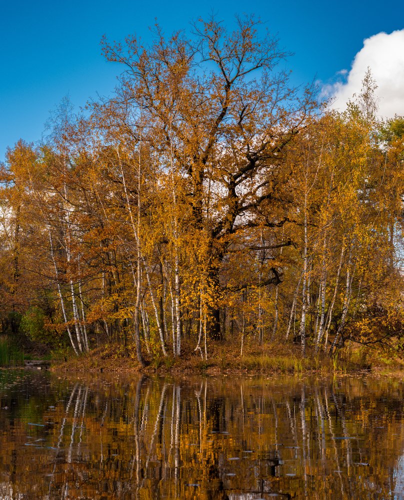 Photograph by Алексей Кузев
