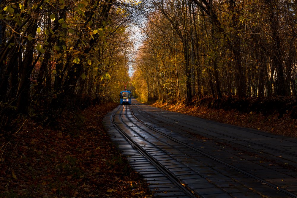 Photograph by Алексей Кузев