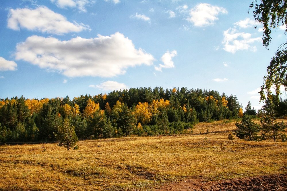 Photograph by Марина Савченко