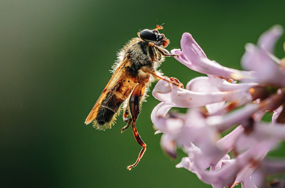 Фотография автора Helena