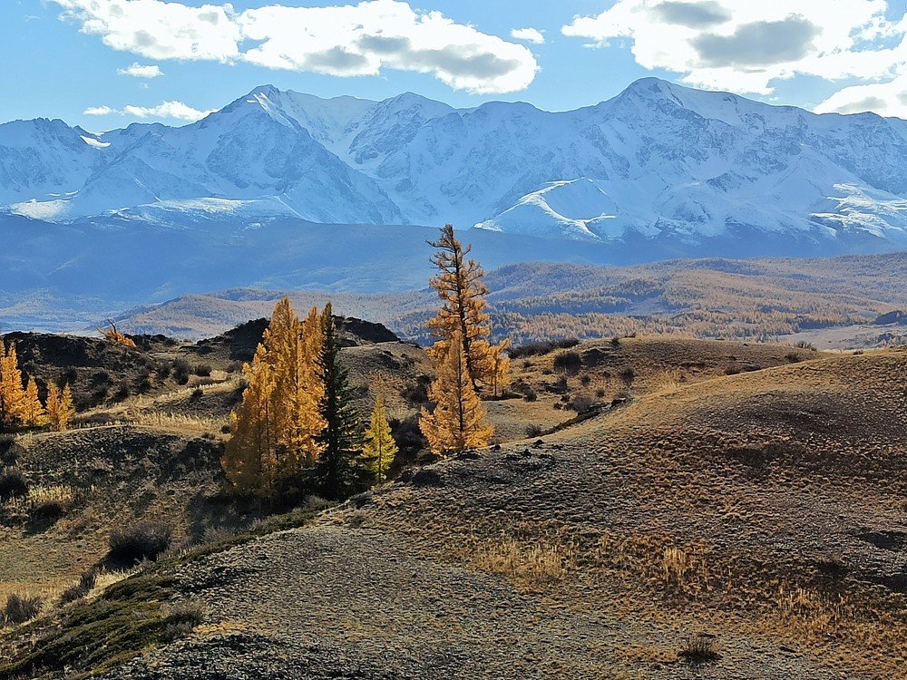 Photograph by Фурсова Людмила