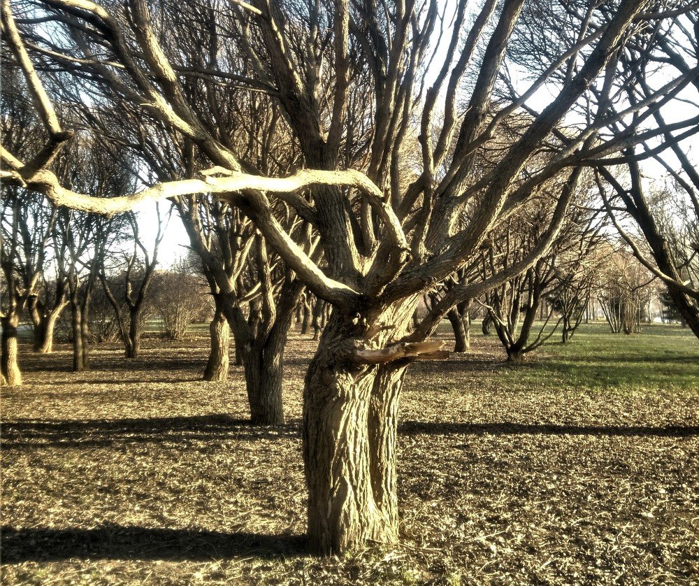 Photograph by Станислав Третьяков