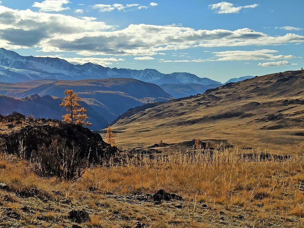 Photograph by Фурсова Людмила