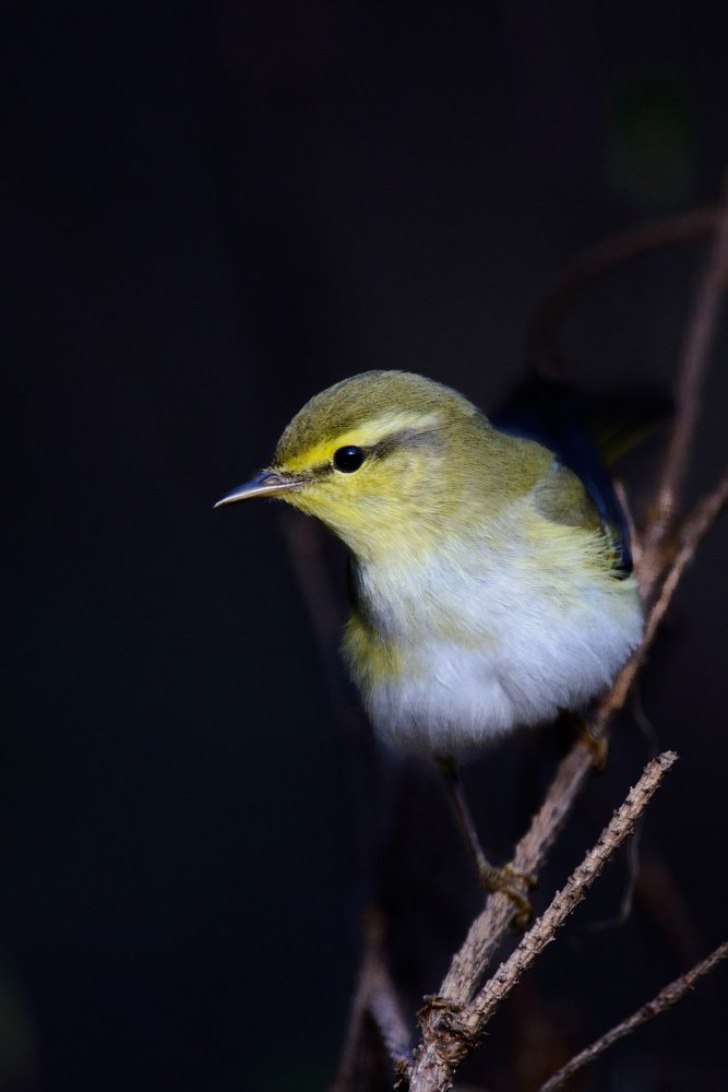 Photograph by Виктор Плахотин