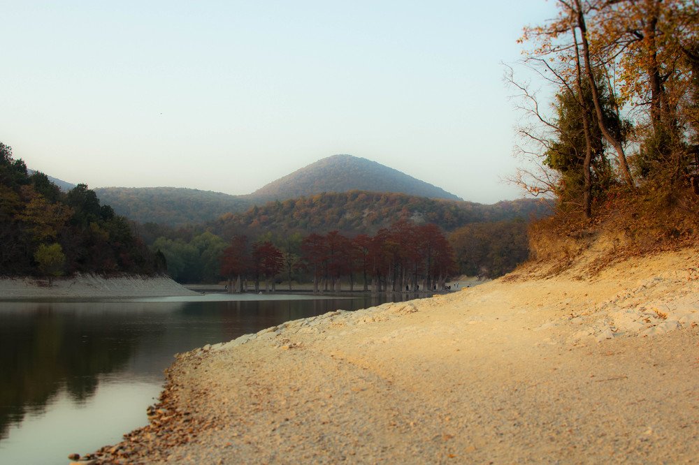 Photograph by AlyaLeta