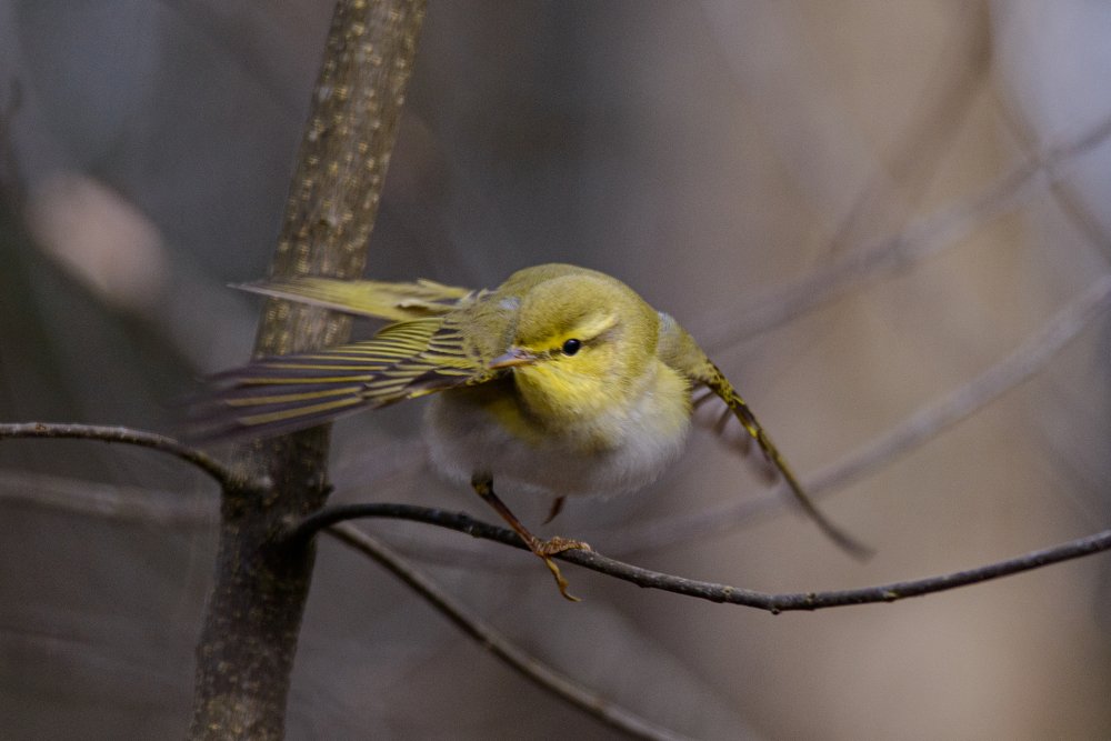 Photograph by Виктор Плахотин