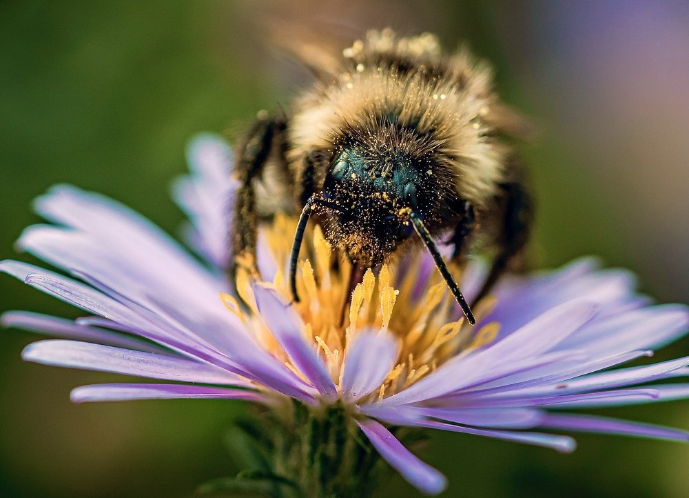 Фотография автора Helena