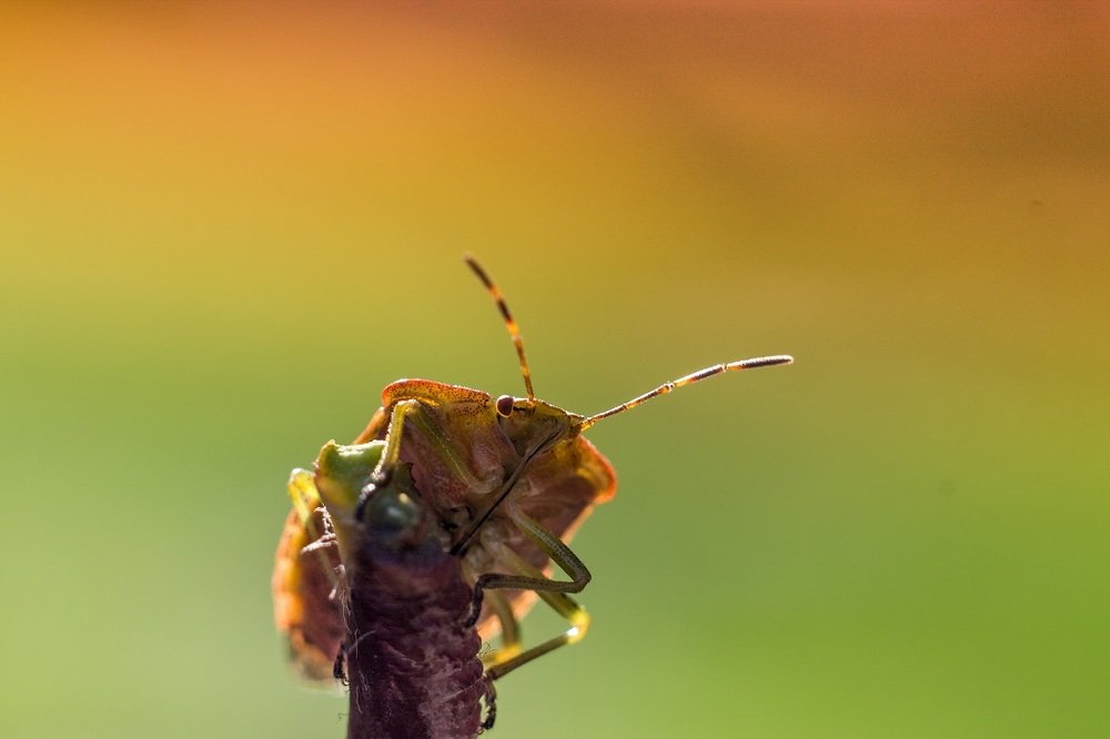 Photograph by Alexander Slizh