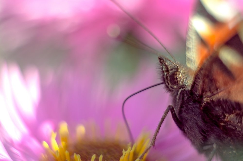 Photograph by Alexander Slizh