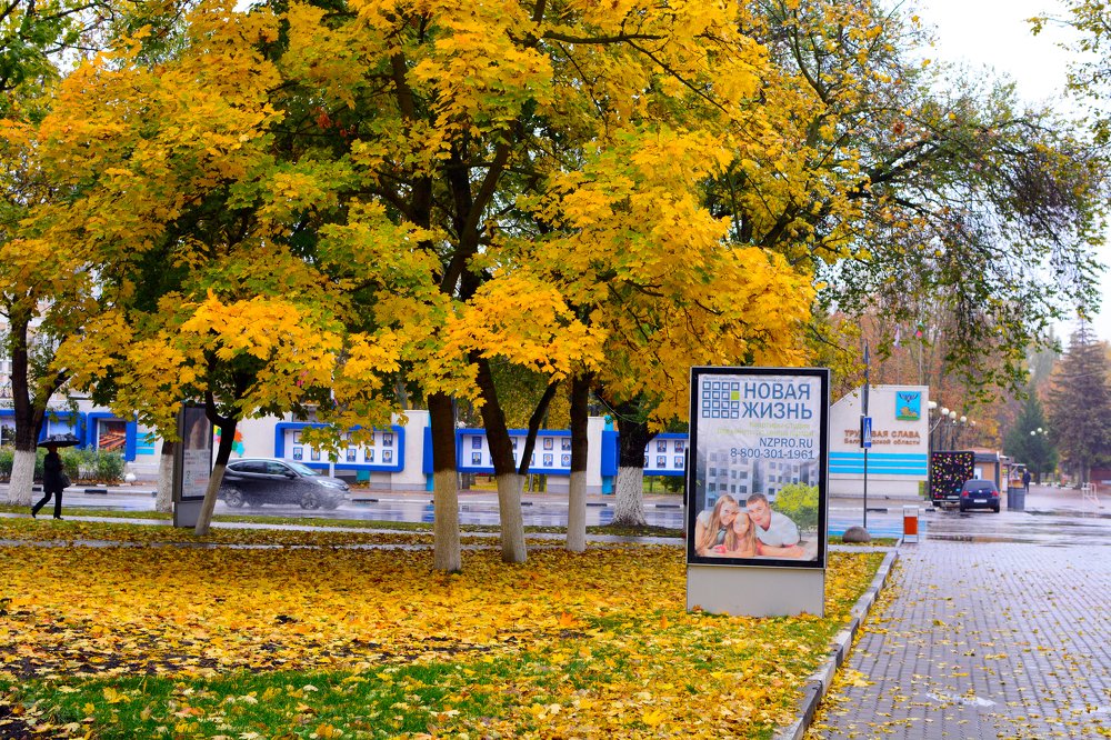 Новая жизнь