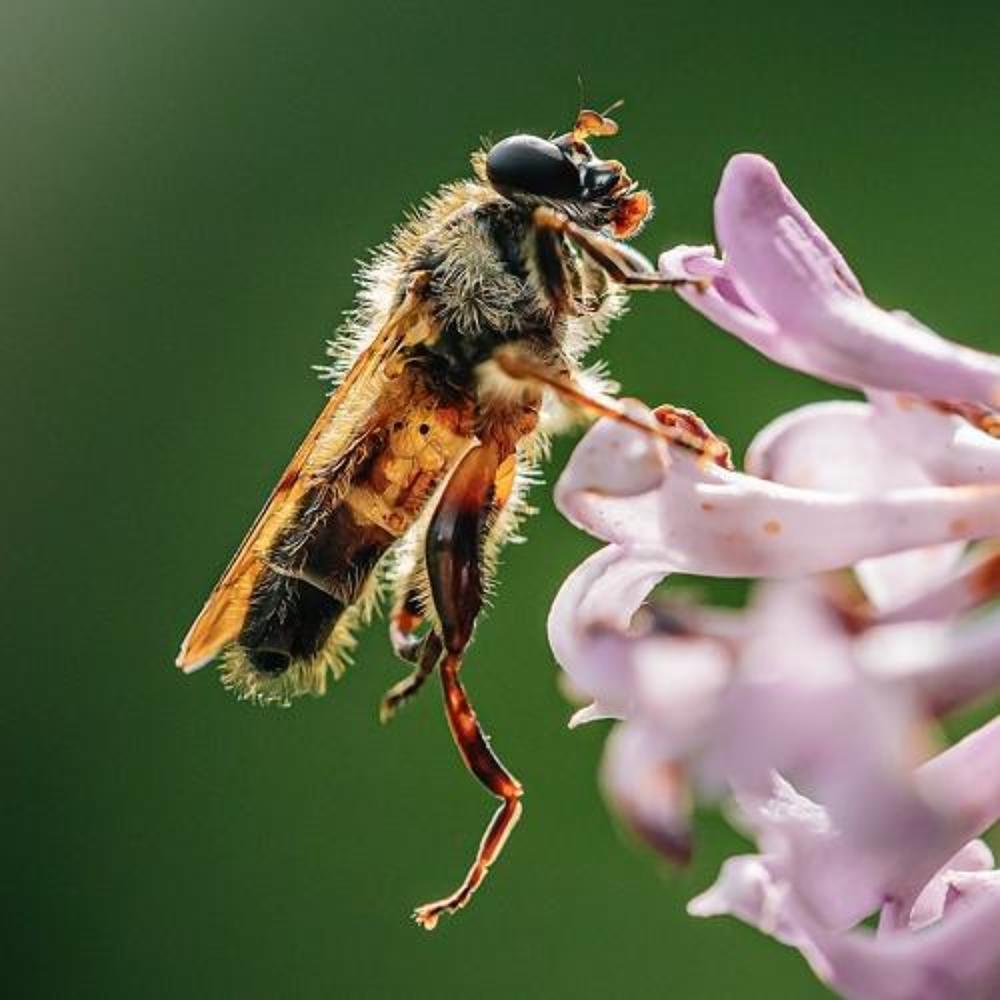 Фотография автора Helena