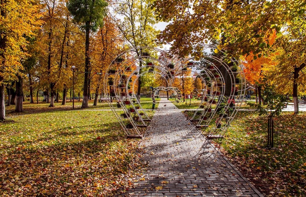 осенний парк