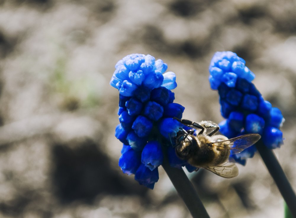Photograph by Елизавета Большакова