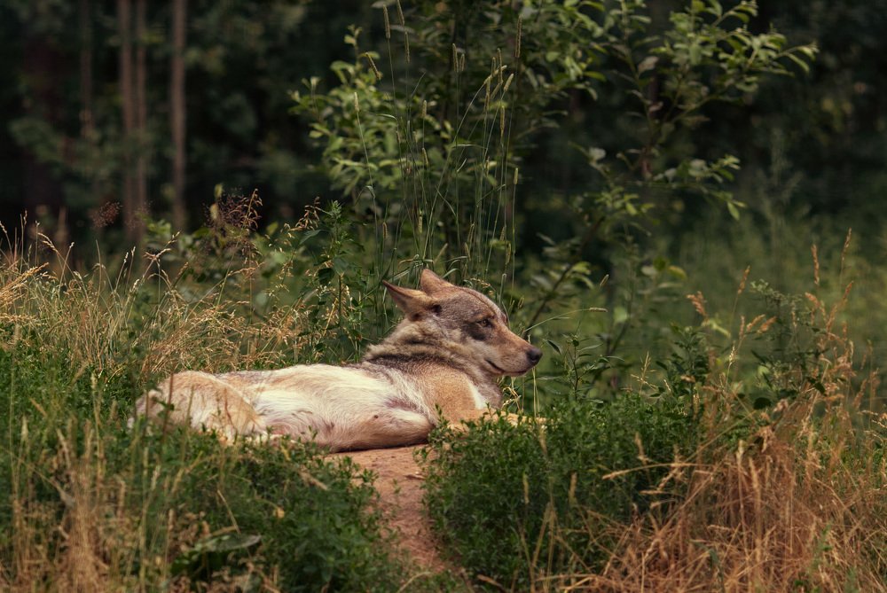 Photograph by Наталья Шалкевич