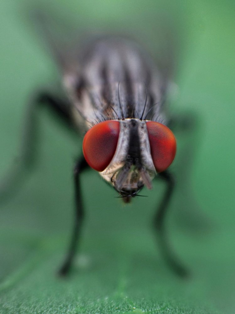 Photograph by Shamith Kulal