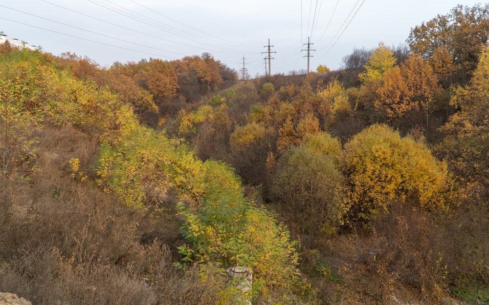 Осенний овраг