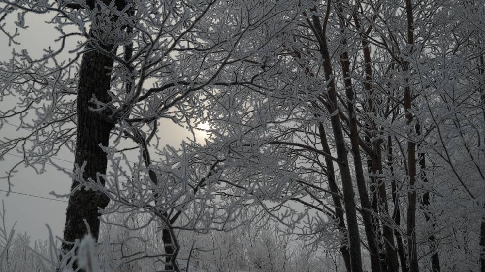 Photograph by Иван Кирилков