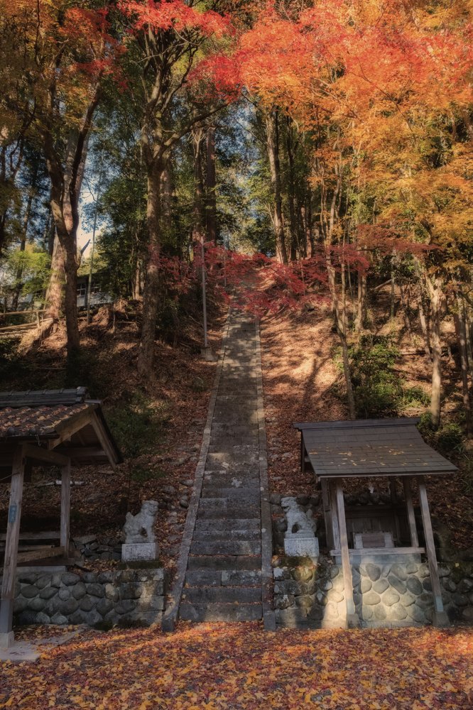 Photograph by Ikeda Akiko