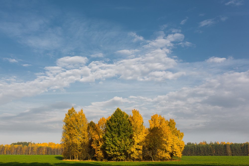Photograph by Сергей Фомченков