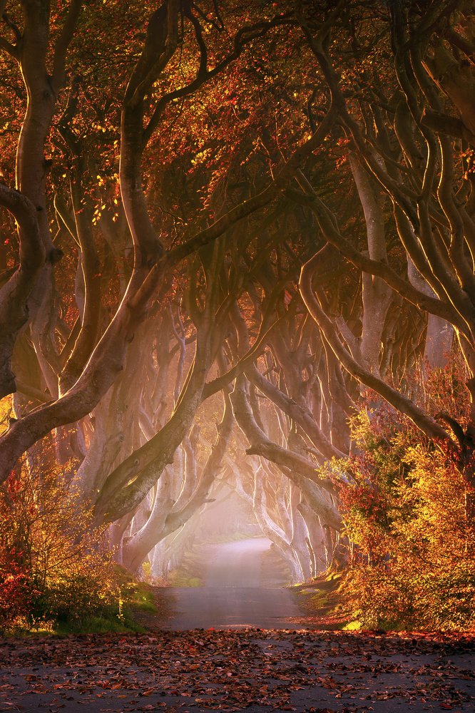 Photograph by Pawel Zygmunt