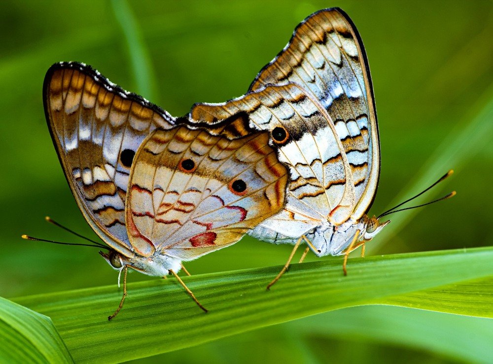 Photograph by Deryl Varela Cienfuegos