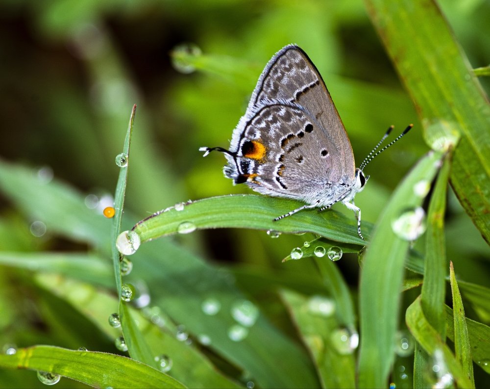 Photograph by Deryl Varela Cienfuegos