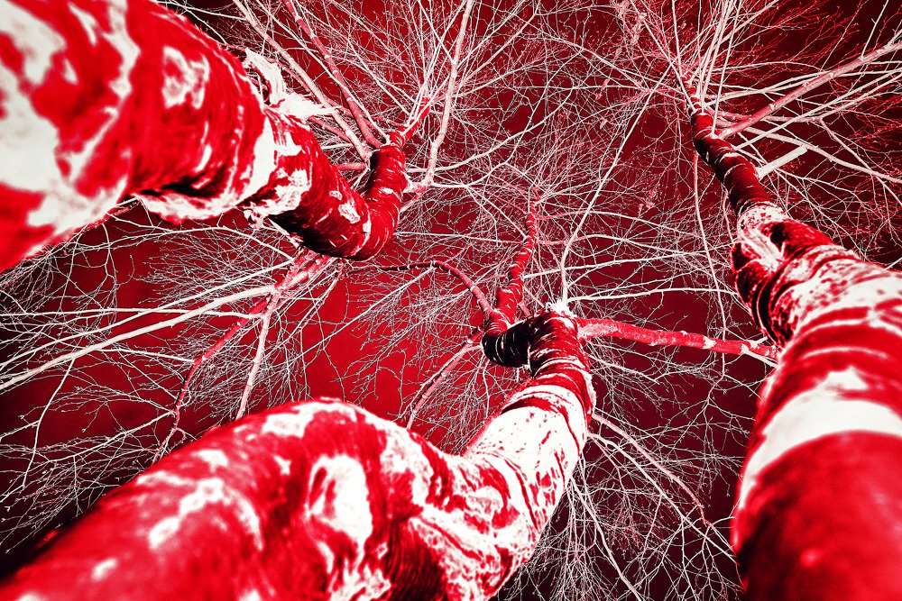 Photograph by Сергей Скоробогатов