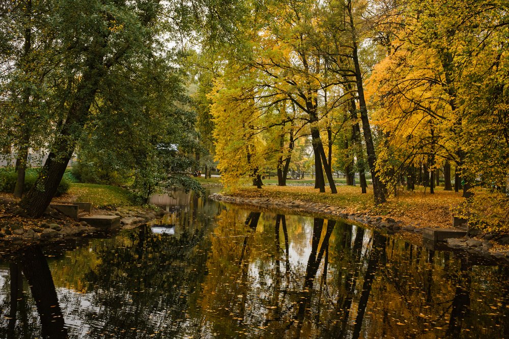 Photograph by Денис Карачёв